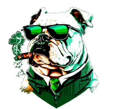 E-DOGG Bail Bonds logo – Trusted Vista bail agents